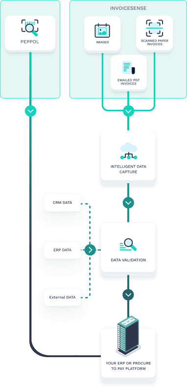 AP Automation Solutions